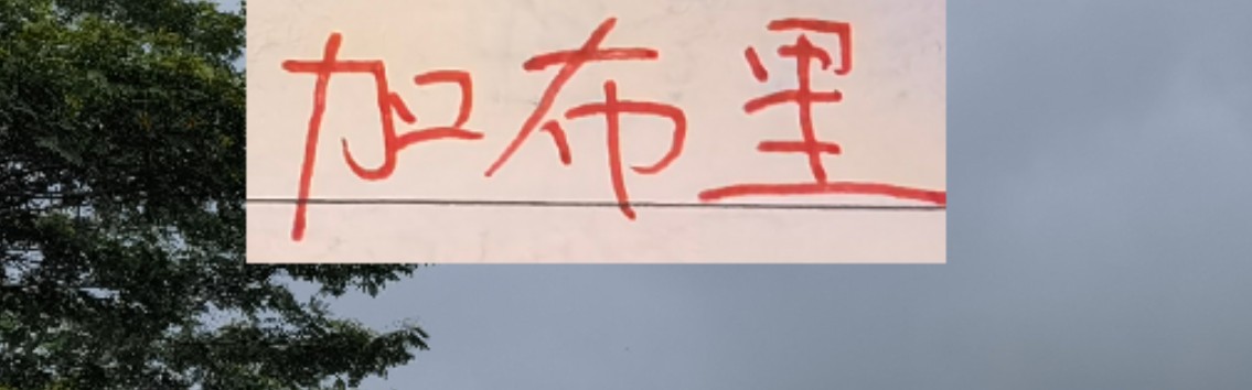 九游娱乐网页版-是走还是留？ 海港加布里埃尔国内跟国外说法不一样